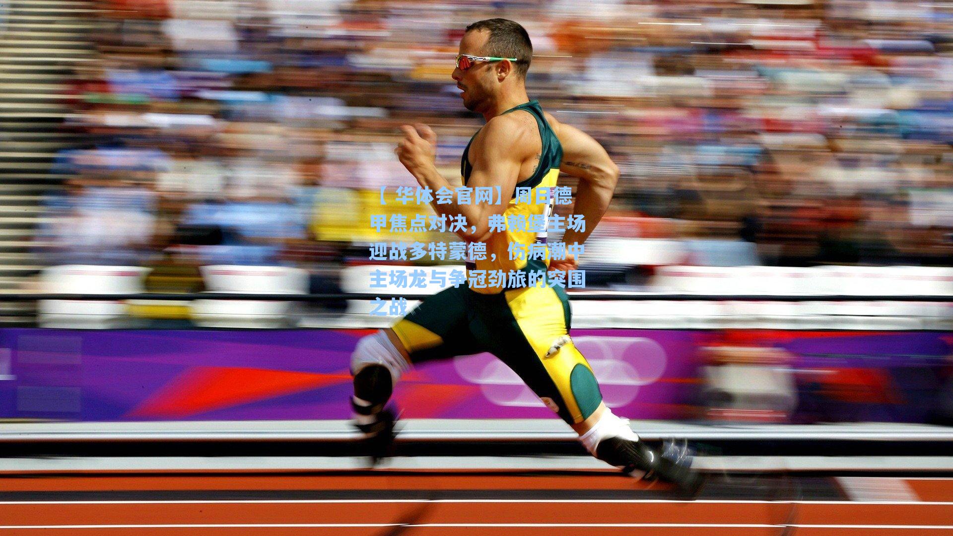 周日德甲焦点对决,弗赖堡主场迎战多特蒙德,伤病潮中主场龙与争冠劲旅的突围之战