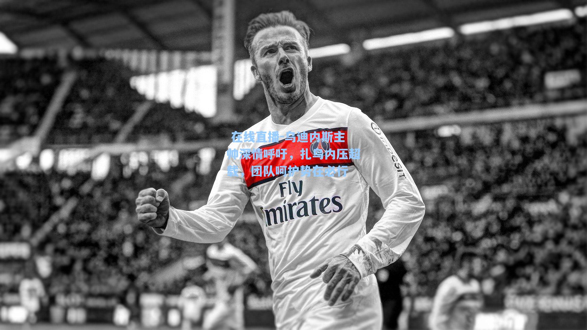 乌迪内斯主帅深情呼吁，扎鸟内压超载，团队呵护势在必行