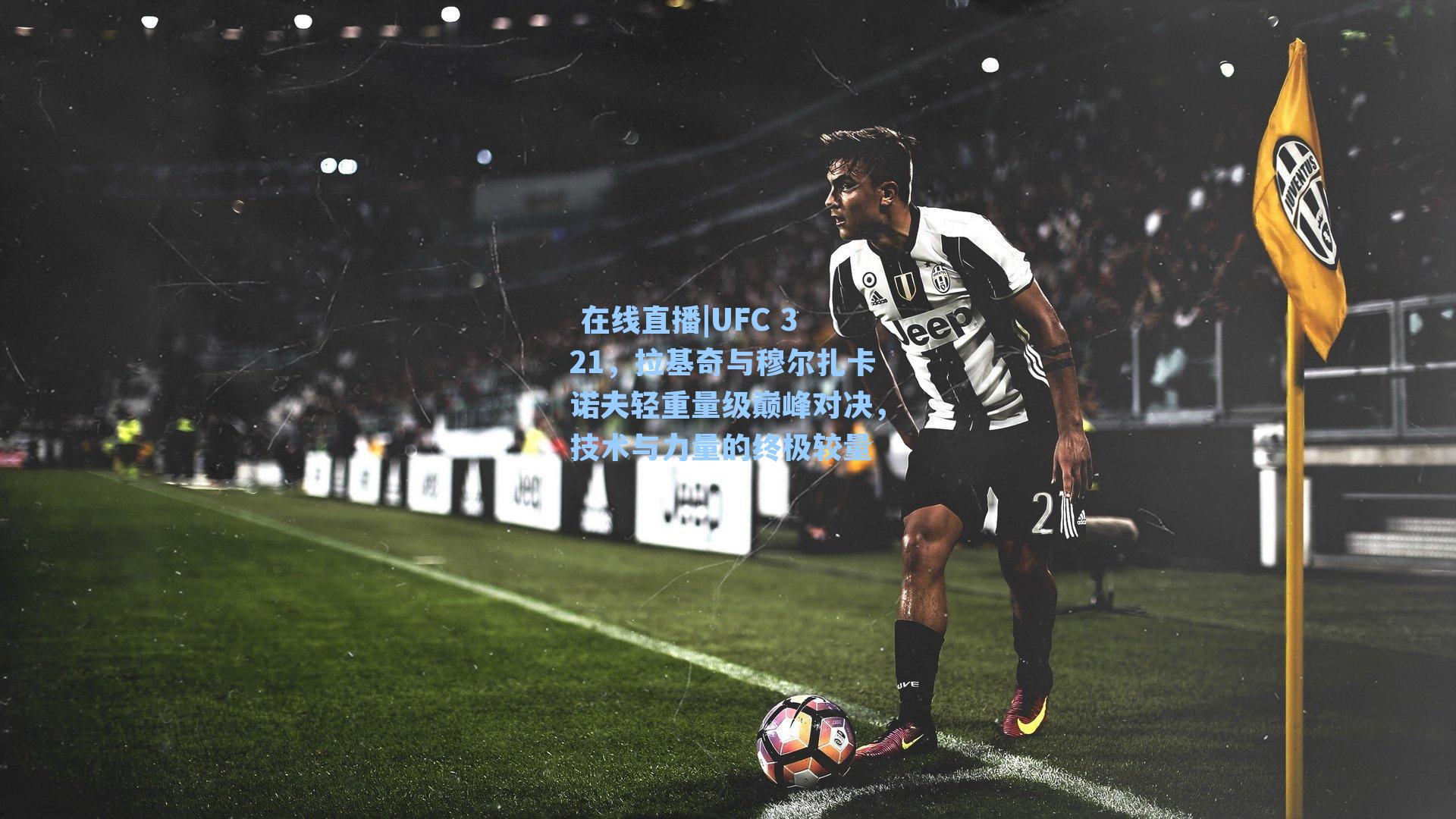 UFC 321,拉基奇与穆尔扎卡诺夫轻重量级巅峰对决,技术与力量的终极较量